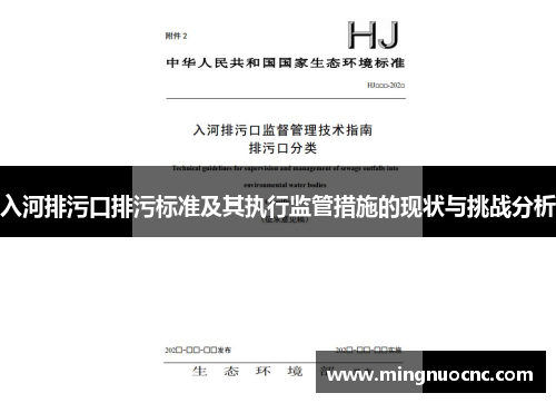 入河排污口排污标准及其执行监管措施的现状与挑战分析