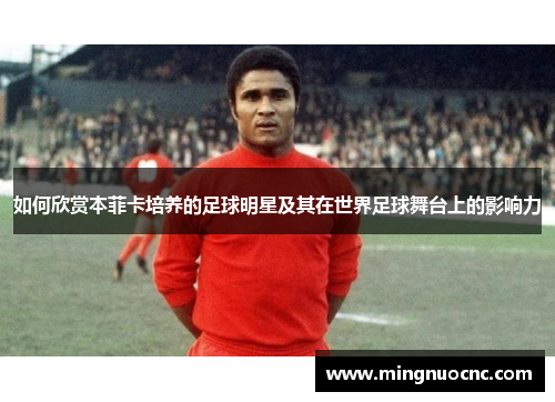 如何欣赏本菲卡培养的足球明星及其在世界足球舞台上的影响力