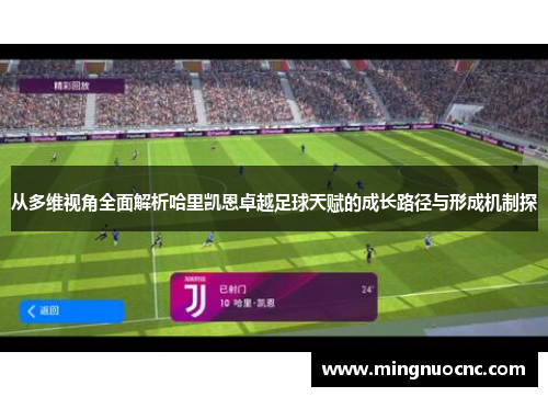 从多维视角全面解析哈里凯恩卓越足球天赋的成长路径与形成机制探 从多维视角全面解析哈里凯恩卓越足球天赋的成长路径与形成机制探